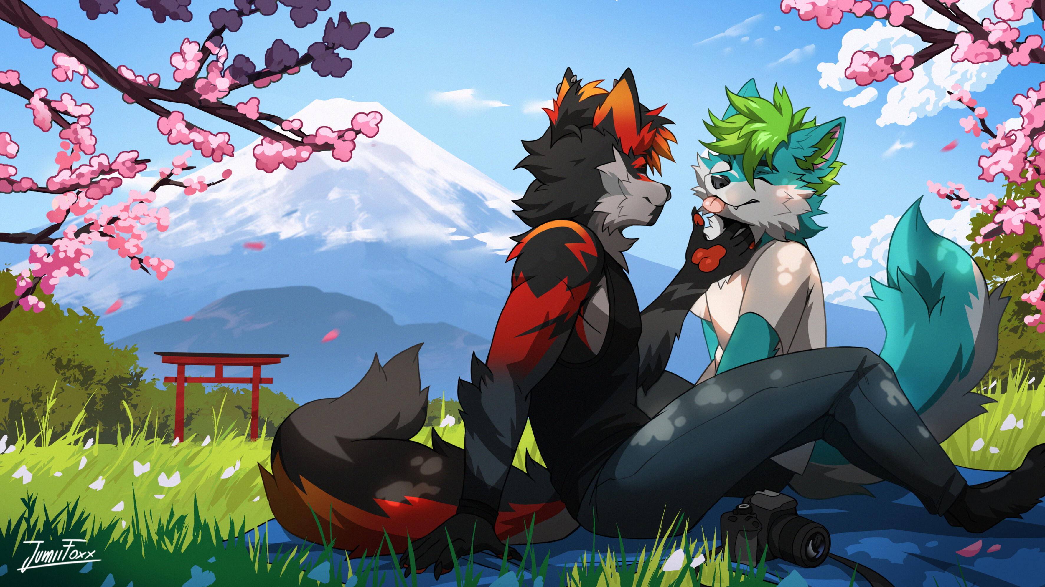 Mt Fuji, Cherry Blossom (Spring)