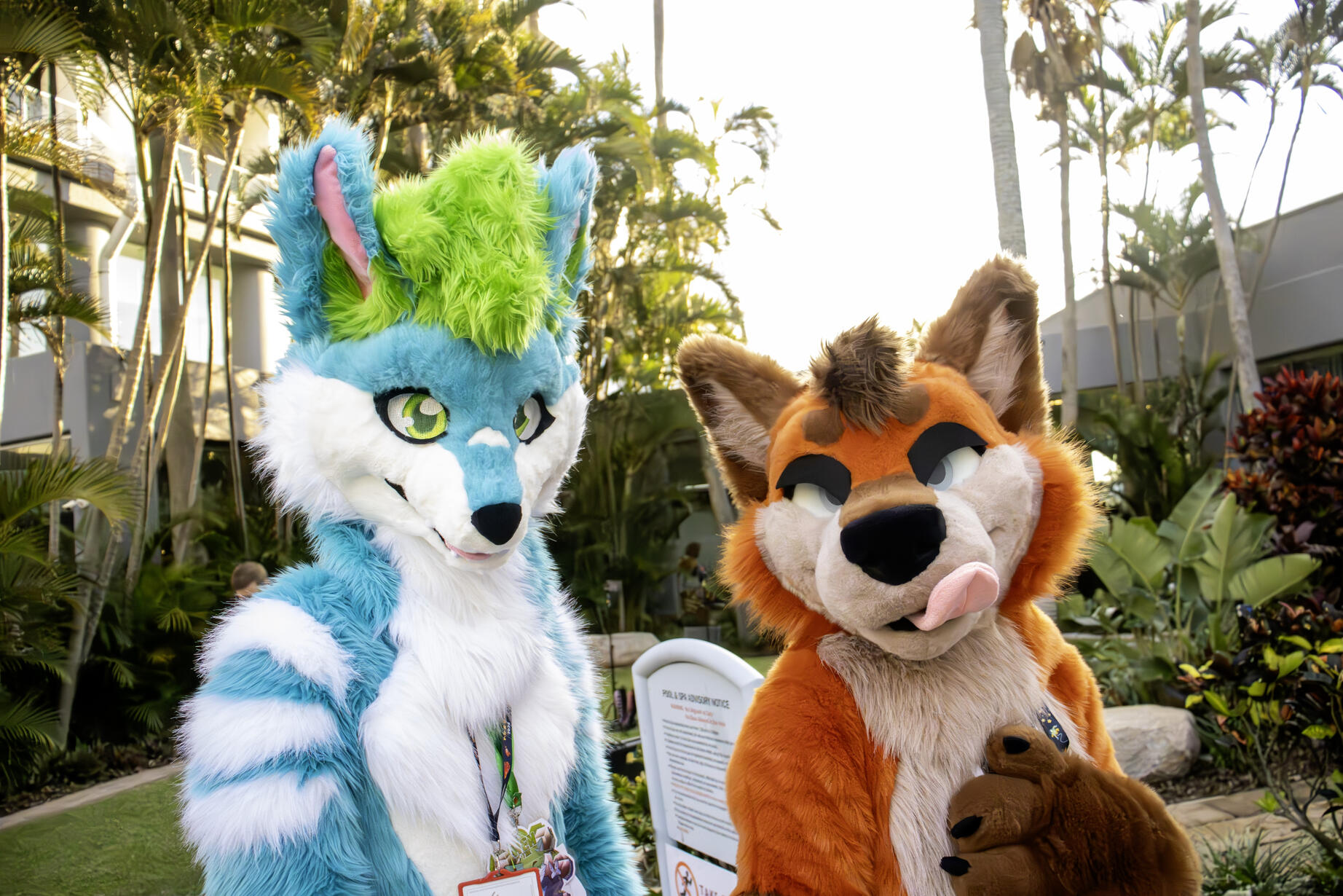 Oneshot and myself at FurDU 2024