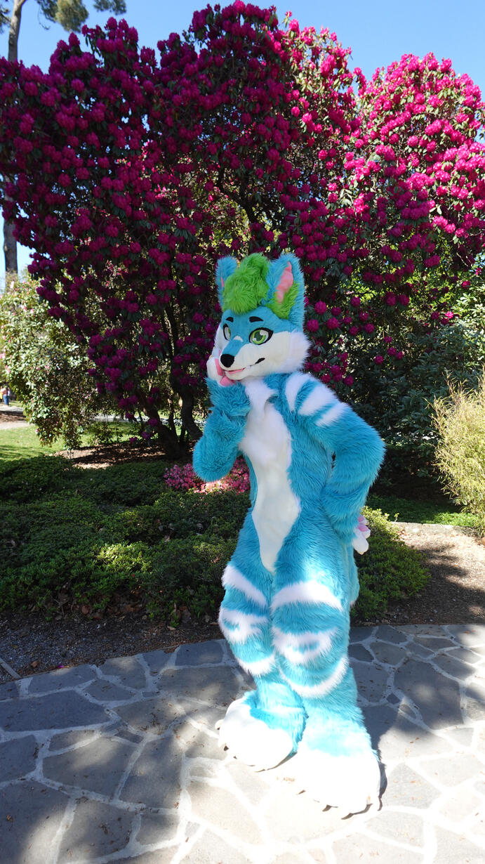 📸: Alex. Spring 2024