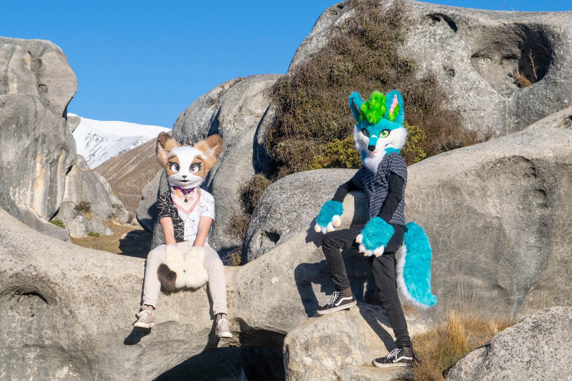 🦊: Alex and myself 📸: Rocket. Akaroa