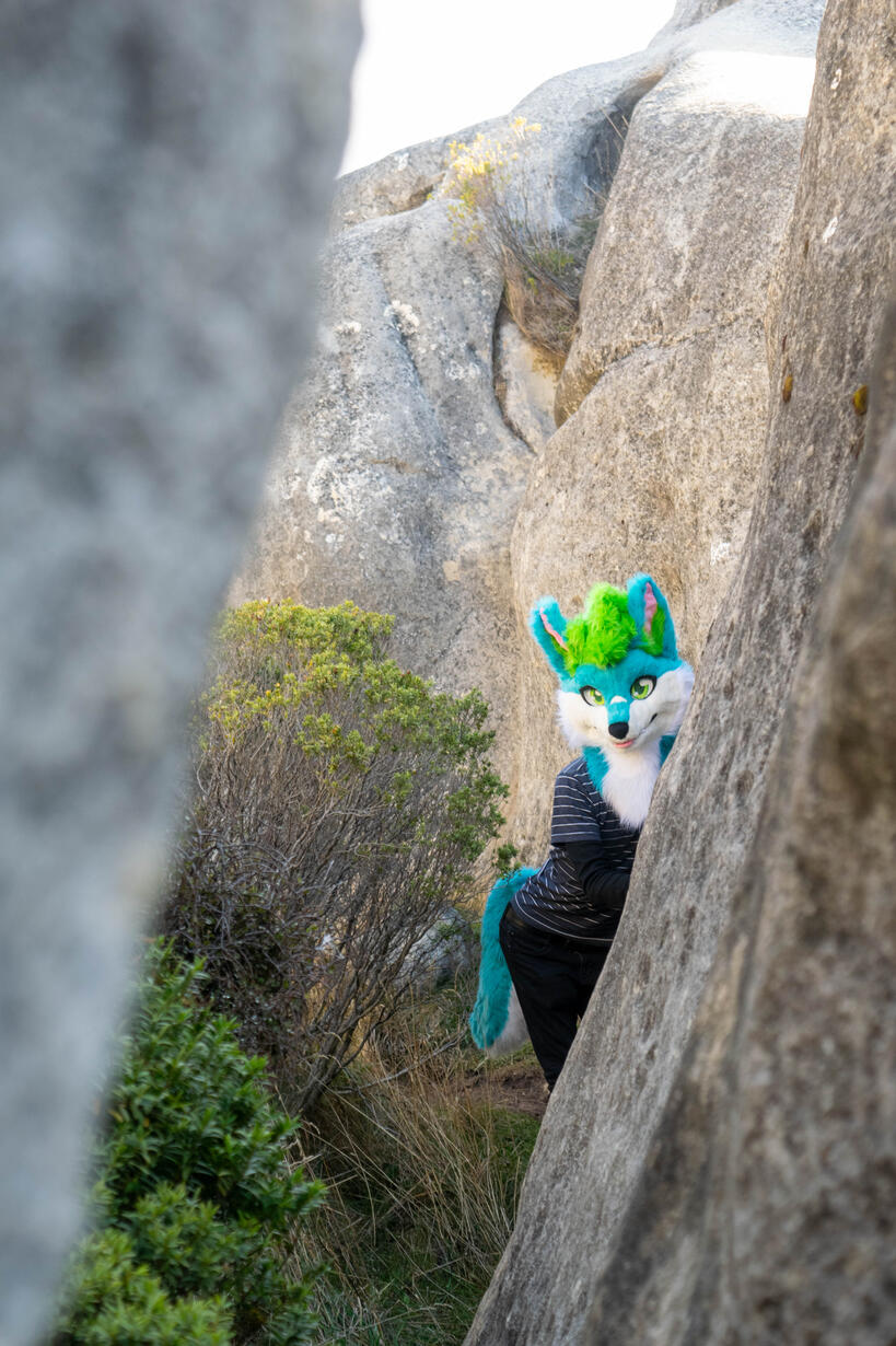 📸: Rocket. Akaroa