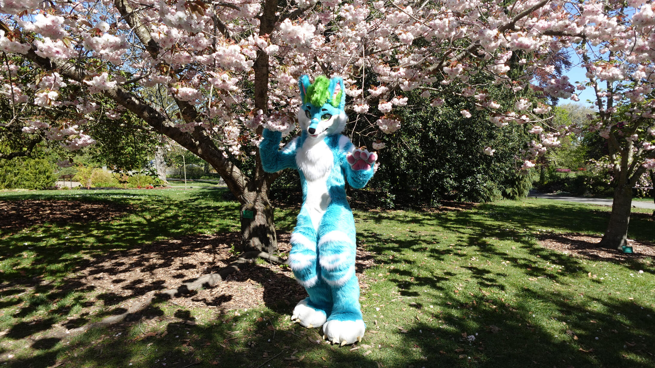 📸: Alex. Spring 2024